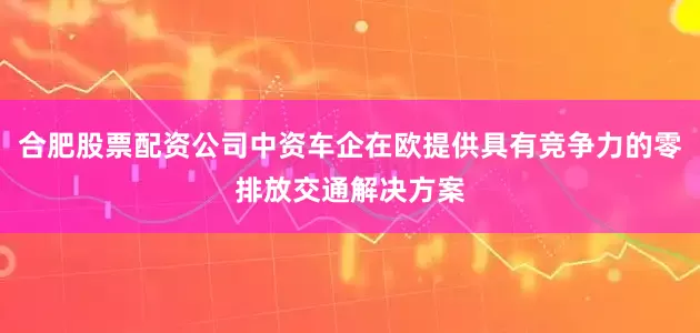 合肥股票配资公司中资车企在欧提供具有竞争力的零排放交通解决方案